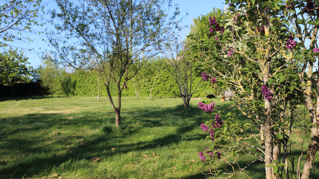 Jardin
